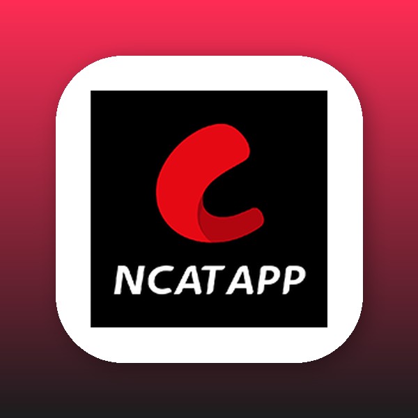 网飞猫官网首页缩略图